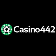 Casino442 Casino icon